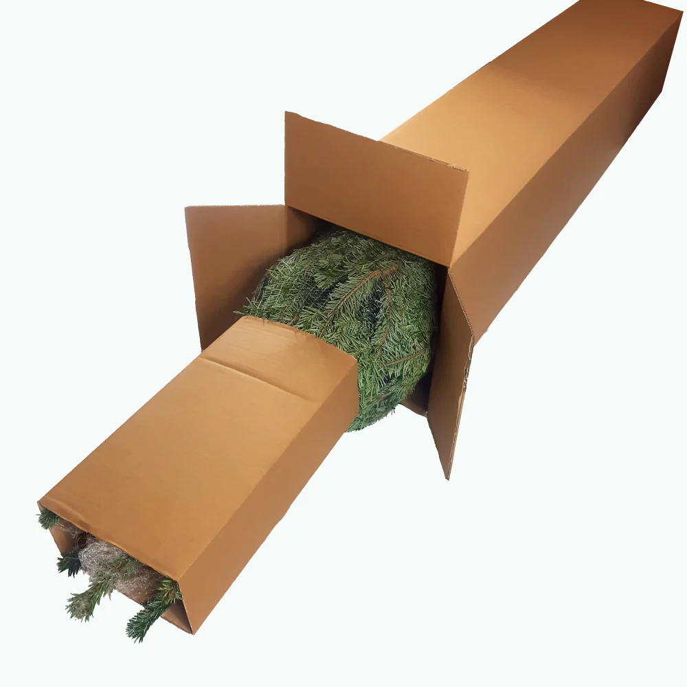 Weihnachtsbaum Nordmanntanne L 150-175 cm - Image 4