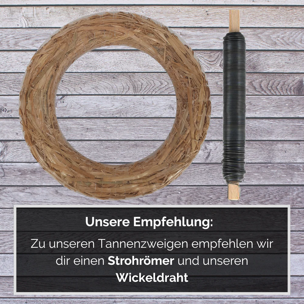 Zweige Thuja Lebensbaum frisches Tannengrün - Image 3