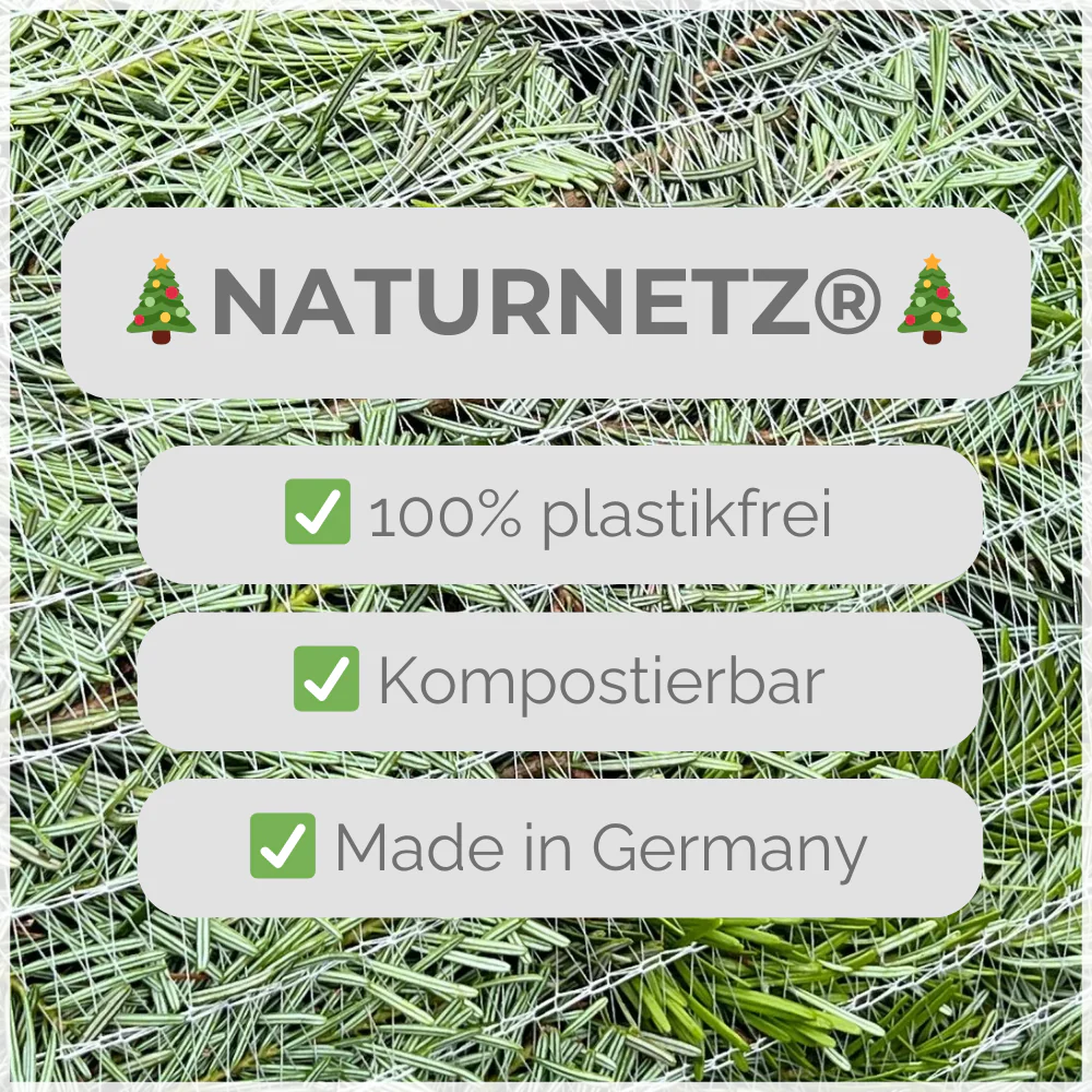 Weihnachtsbaum Nordmanntanne M 125-150 cm - Image 3